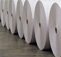 Paper rolls in mill floor
